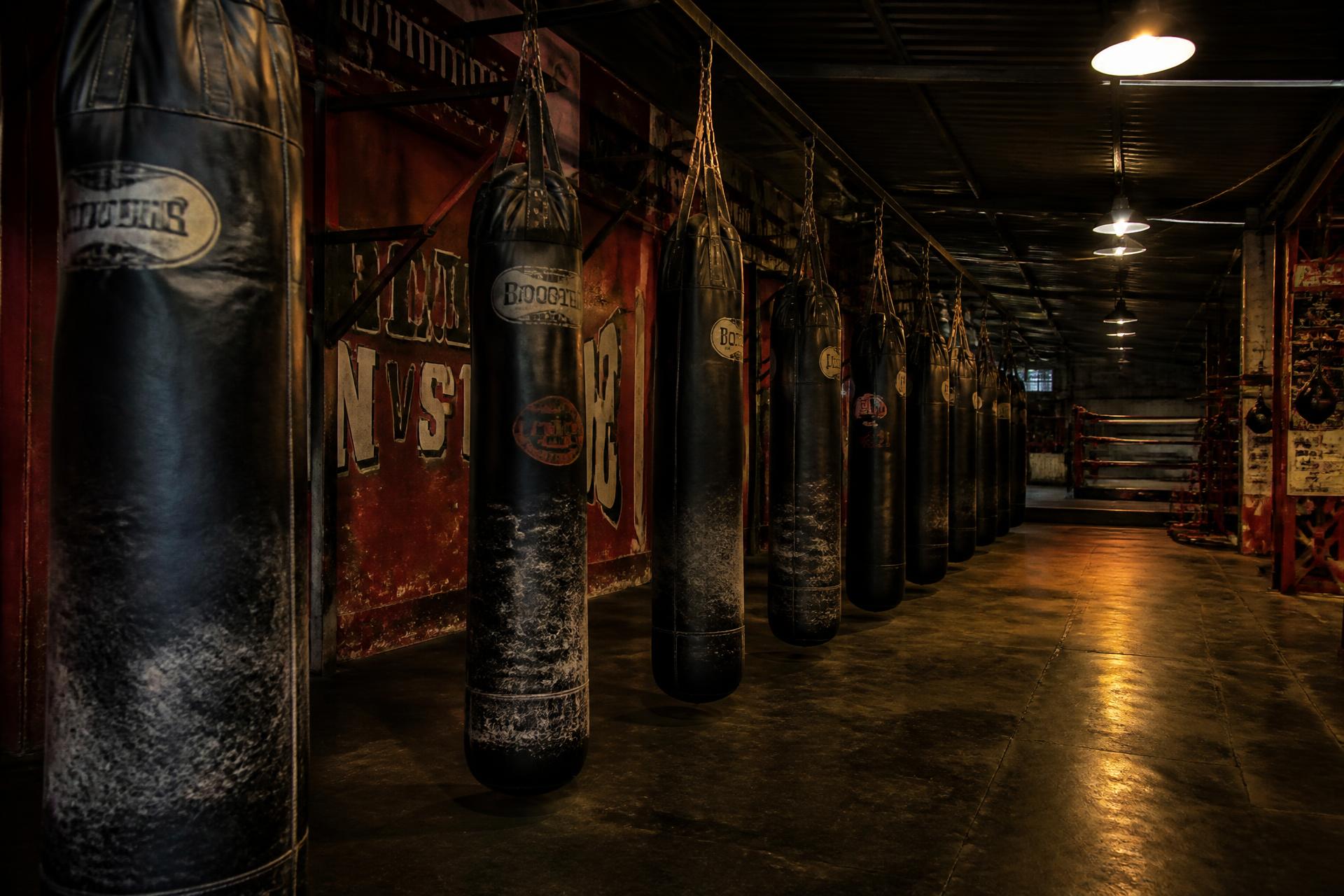 Row of worn heavy bags hanging under industrial lamps in a dark gym